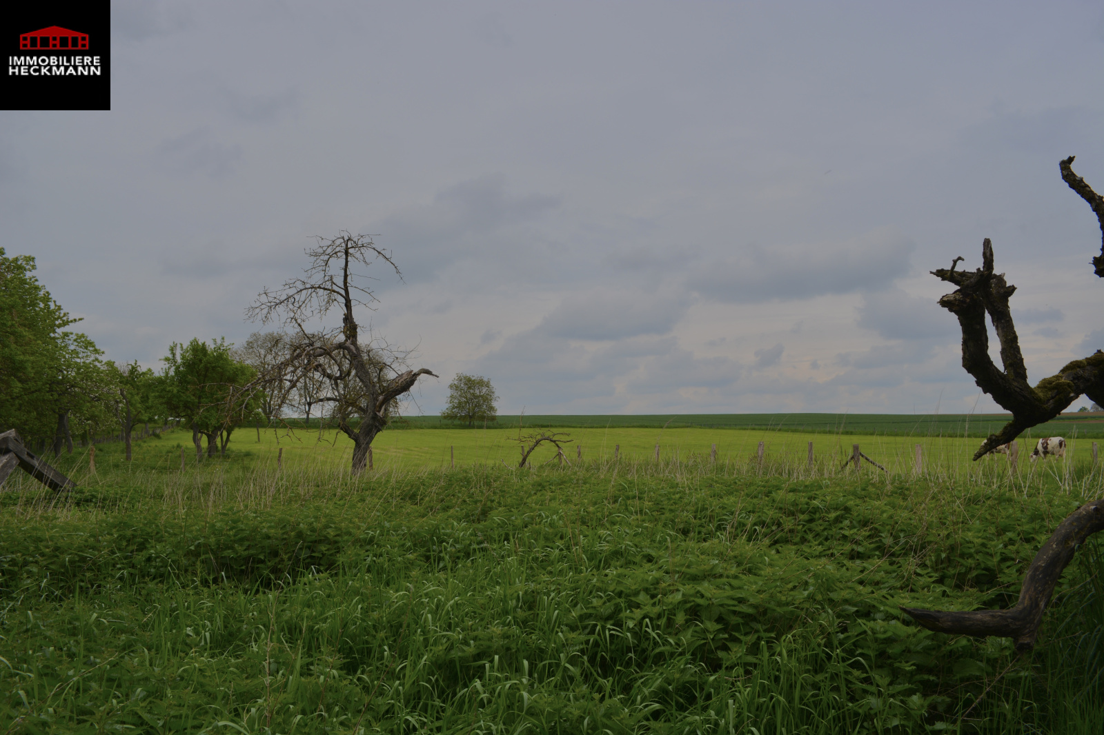 Image_, Maison, Wickersheim-Wilshausen, ref :05