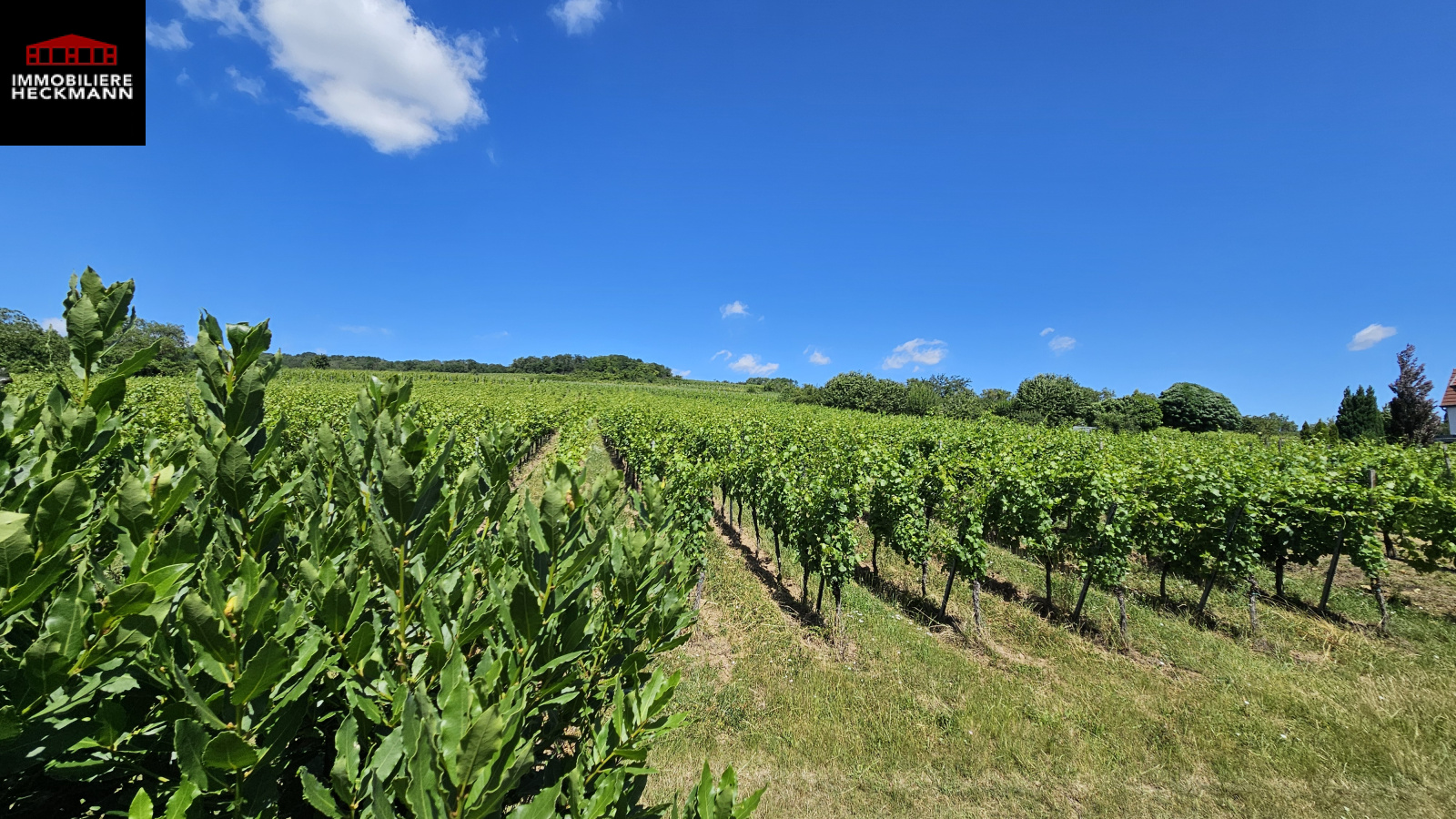 Image_, Maison, Molsheim, ref :158